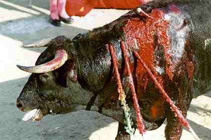 http://s1.trrsf.com/blogs/68/106681_toro_sangrando.jpg