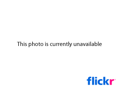 http://s1.trrsf.com/blogs/68/3732393688_1695854640_m.jpg