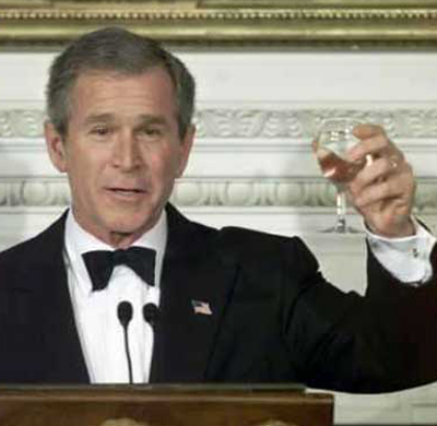Bush. Fuente:villamis.com