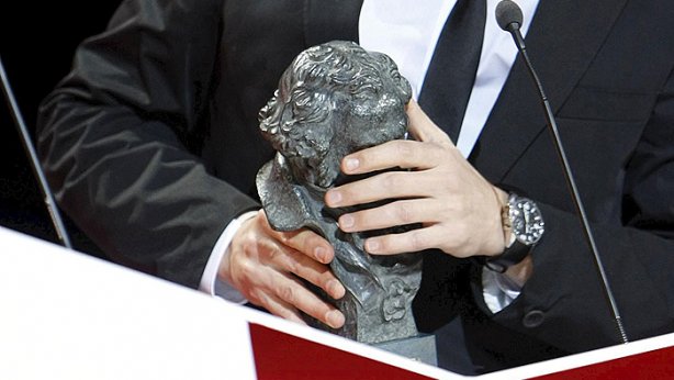 Goya. Fuente:noticiasdenavarra.es