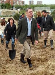 politica politica