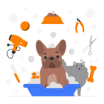 Icone Cuidados essenciais