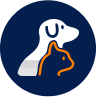 Ilustração de cor laranja com fundo azul escuro mostrando um cachorro e um gato