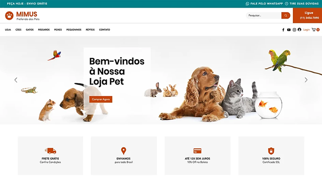 Template 15 Construtor de Sites